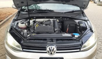 VW Golf Variant full