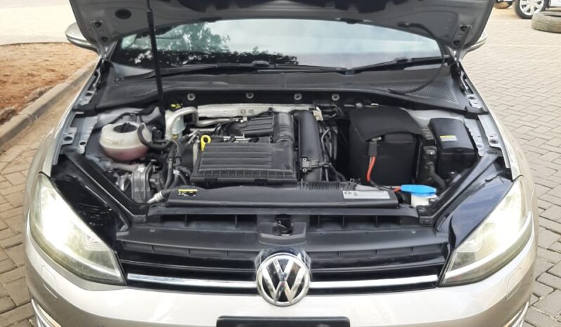 VW Golf Variant full