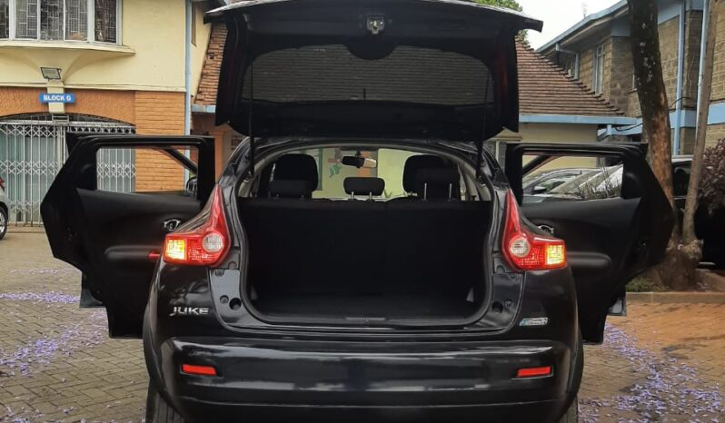 Nissan Juke 2011 full