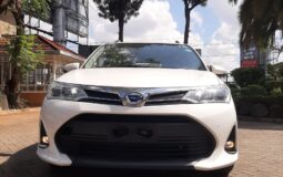 WhatsApp Image 2025-11-19 at 10.41.35 AM (1)